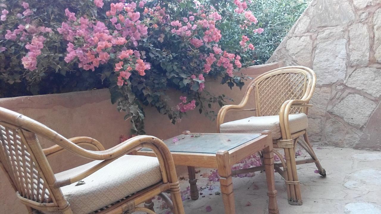 Eskaleh Eco-Lodge Abu Simbel Esterno foto