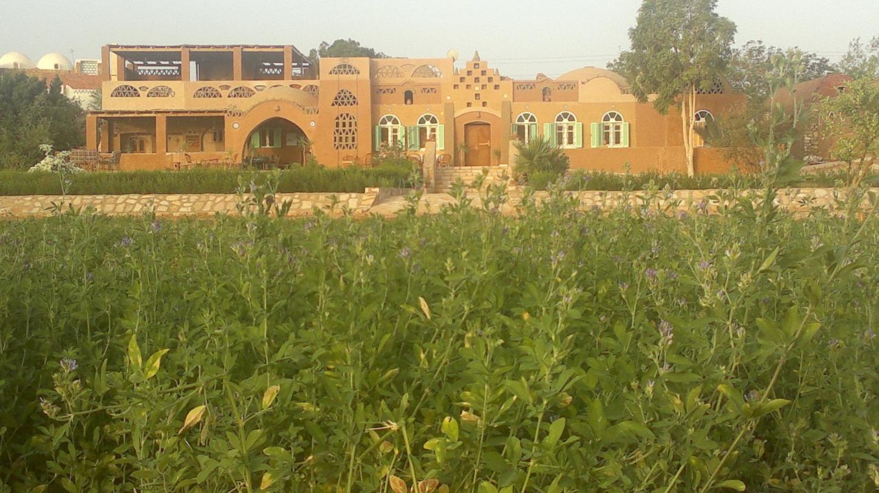 Eskaleh Eco-Lodge Abu Simbel Esterno foto